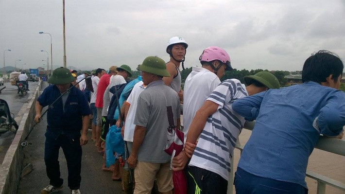 Nhiều người dân đã kéo nhau ra "hôi cá".