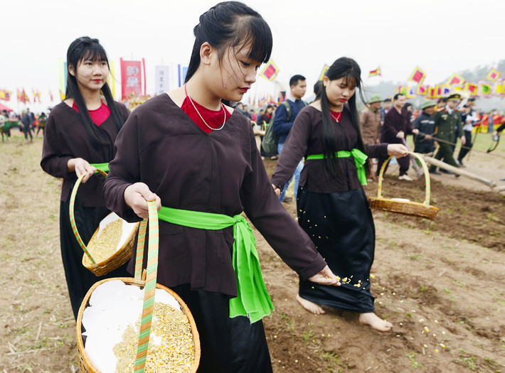 ...theo sau vua là đoàn gieo hạt giống bao gồm đỗ xanh, lạc và thóc.