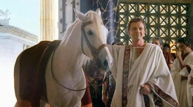 Tình yêu kỳ lạ của Caligula dành cho con ngựa Incitatus khiến nhiều người bị "sốc" hơn khi ông hoàng này dự định phong cho nó làm quan chấp chính tối cao. Đây là một chức vị rất cao trong bộ máy chính quyền La Mã thời cổ đại.