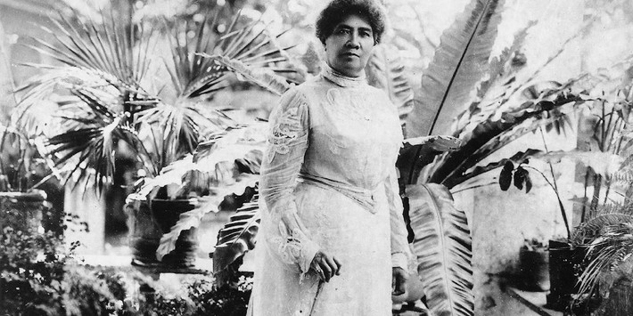 Theo đó, Liliuokalani trở thành Nữ hoàng đầu tiên và cũng là cuối cùng ở Hawaii. Kể từ khi đăng cơ, Nữ hoàng Liliuokalani đối mặt với nhiều thách thức khi các doanh nhân Mỹ và châu Âu lên kế hoạch phế truất bà để sáp nhập Hawaii vào Mỹ.