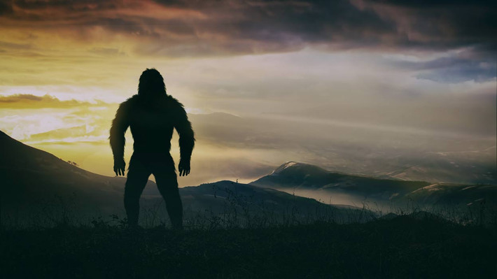 Do chỉ nhìn thấy quái thú Bigfoot từ xa và trong thời gian rất ngắn nên các nhân chứng chỉ biết được một vài đặc điểm. Theo họ, sinh vật này có cơ thể phủ đầy lông lá, hình dáng giống gấu nhưng đi bằng hai chân.