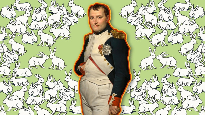 Ban đầu, hoàng đế Napoleon và mọi người cười nói vui vẻ khi thấy cảnh tượng đó. Thế nhưng, họ nhanh chóng cảm thấy lo lắng, sợ hãi khi những con thỏ liên tục lao thẳng về phía mình mà không có dấu hiệu dừng lại.