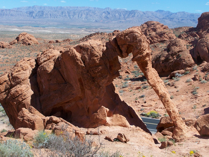 Tảng đá hình voi, một kiệt tác của tự nhiên tại Nevada, Mỹ. (Nguồn Brilio)