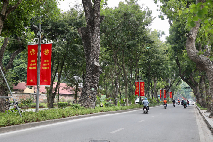 Băng rôn chúc mừng năm mới treo dọc tuyến phố Hoàng Diệu.