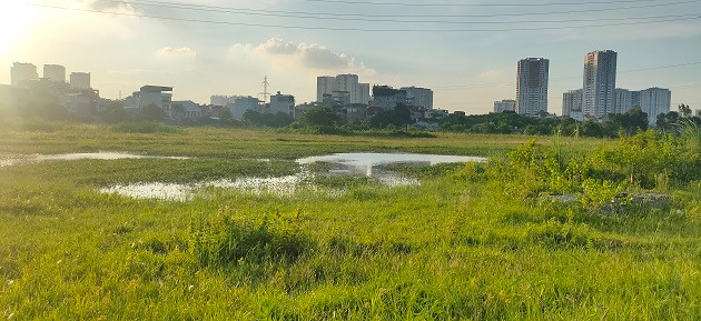 Một số khu vực trong dự án trở thành ao, vùng trũng thấp.