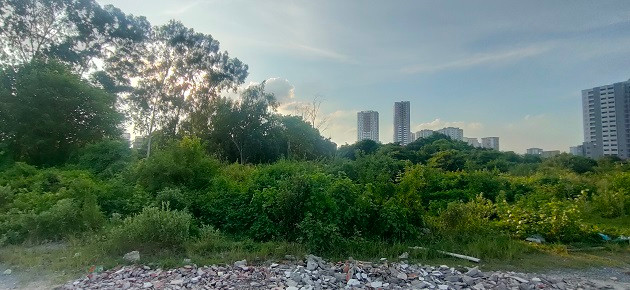 Phần lớn diện tích dự án đã thực hiện xong giải phóng mặt bằng vẫn đang bỏ hoang, cỏ mọc um tùm.