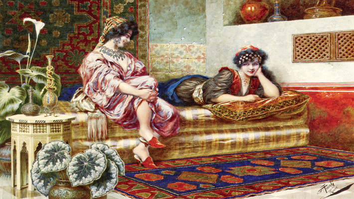 Cụ thể, hàng trăm phi tần, mỹ nữ hầu hạ chuyện "chăn gối" của Sultan có xuất thân từ nhiều tầng lớp khác nhau như quý tộc, thường dân hay thậm chí là nô lệ được lấy làm "chiến lợi phẩm" từ các cuộc chiến đẫm máu mở rộng lãnh thổ.