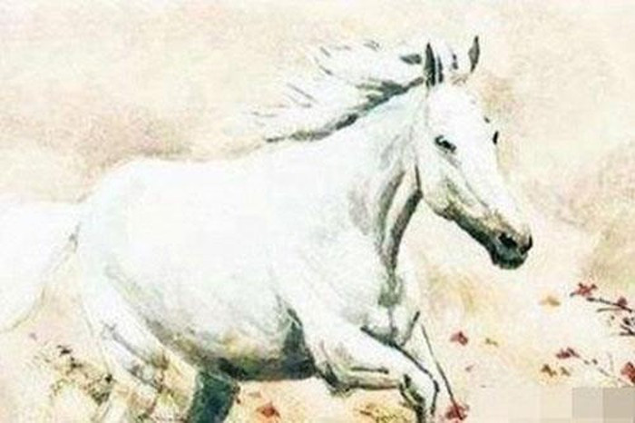 Tuổi Ngọ sẽ tích lũy được tiền bạc, hậu vận thăng hoa cuộc sống vô cùng dư dả viên mãn.