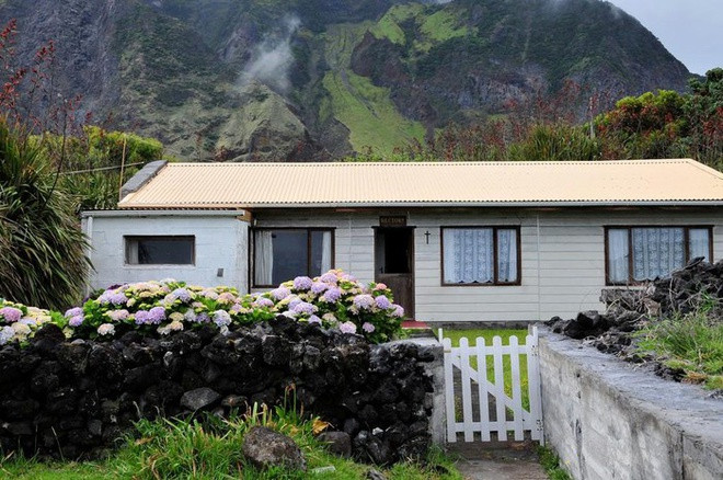 Tristan da Cunha được xem là khu bảo tồn thiên nhiên quan trọng của thế giới. Đây chính là nơi cư trú của 13 loài chim biển, 2 loài chim đặc hữu sống trên đất liền. Nhiều động vật biển như hải cẩu, cá voi, cá heo…được tìm thấy xung quanh đảo. Chim cánh cụt đá và hải âu là những loài động vật đặc trưng trên biển.