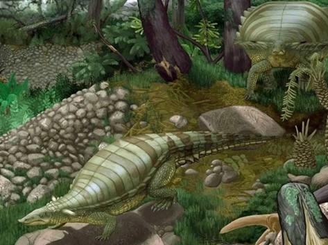 Sau hơn 30 năm nghiên cứu, các chuyên gia đã giải mã được bí mật về bộ xương quái thú trên. Họ xác định đó là một sinh vật thuộc dòng họ Aetosaur.