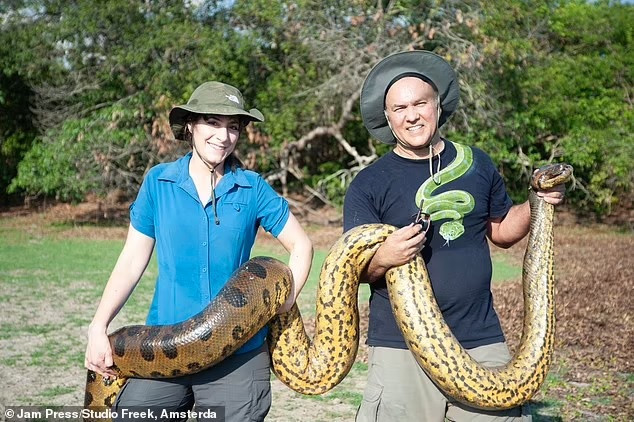 Trăn Anaconda xanh là một trong những loài trăn có kích thước lớn nhất thế giới. Chúng sống ở lưu vực sông Amazon, thích sống dưới nước hoặc ẩn náu trong các đầm lầy, các con sông và cánh rừng rậm ở khu vực Nam Mỹ.