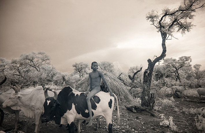 Một cậu bé thuộc bộ tộc Suri ở Ethiopia đang ở trần chăn bò. (Nguồn Sina)