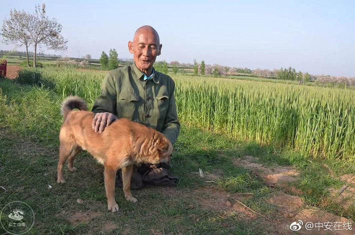 Được biết, đôi chân của ông Thiên Căn không phải bị cụt bẩm sinh. Đó là vào mùa hè oi ả năm 19 tuổi, chàng trai Thiên Căn ra mồ hôi đầm đìa. Khi đó Thiên Căn chỉ muốn giải nhiệt, liền tắm nước lạnh. Sau đó không rõ vì sao, đôi chân của Thiên Căn bắt đầu hoại tử nghiêm trọng, nếu không cắt bỏ sẽ nguy hiểm đến tính mạng. Sau khi đau đớn cắt bỏ đôi chân, Thiên Căn lựa chọn cách kiên cường đối diện với thực tại tàn khốc. Ông tập đi bằng hai tay, lúc đầu quấn vải thật dày để hạn chế trầy xước. (Nguồn QQ)