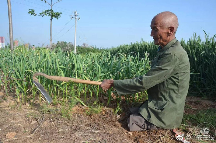 Một vài năm trước đã có hãng truyền thông đưa tin về trường hợp của ông Căn. Nhiều người biết đến hoàn cảnh của ông cũng ủng hộ, giúp đỡ rất nhiều, những dịp lễ, tết đều có quà. Địa phương cũng hỗ trợ ông, mỗi tháng cấp 130 tệ (khoảng hơn 400.000 đồng). Tuy không nhiều nhưng ông Căn sống không đến nỗi túng thiếu. (Nguồn QQ)
