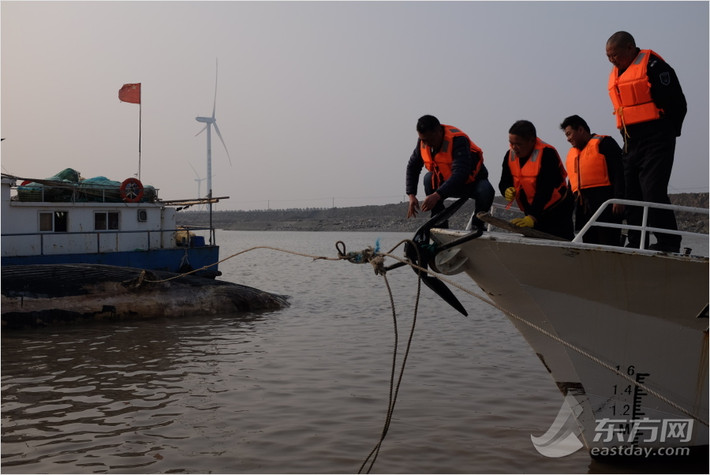 Tuy nhiên, tại thời điểm phát hiện xác cá voi, nó đã chết được khoảng hơn 10 ngày, cơ thể bắt đầu có dấu hiệu phân hủy, bốc mùi hôi thối nồng nặc. (Nguồn Sina)
