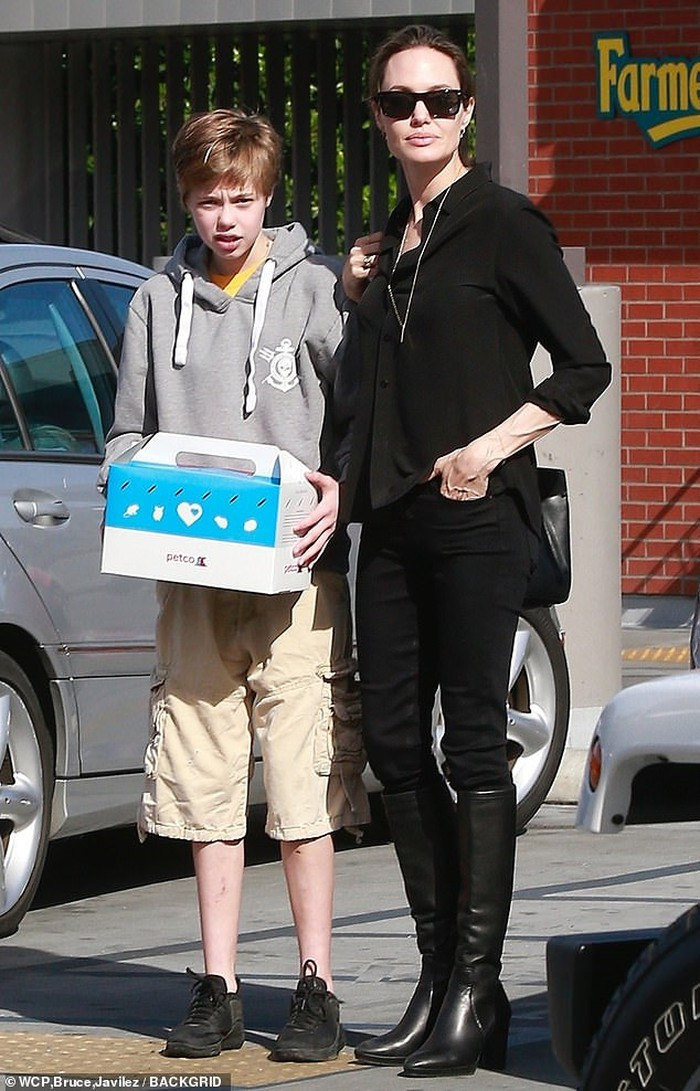 Ngày 26/1 (theo giờ địa phương), Angelina Jolie cùng con gái Shiloh đã đến cửa hàng chuyên bán đồ dùng và thức ăn dành cho thú cưng ở Los Angeles.