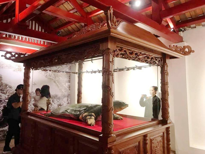 Sáng ngày 15/3, ông Tô Văn Động, Giám đốc Sở Văn hóa và Thể thao Hà Nội, cho biết UBND TP Hà Nội vừa tổ chức đưa tiêu bản cụ rùa hồ Gươm vào đền Ngọc Sơn (quận Hoàn Kiếm, TP Hà Nội).