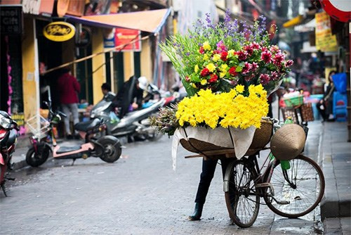 Những xe hoa hòa mình vào dòng người len lỏi đi khắp các phố phường.