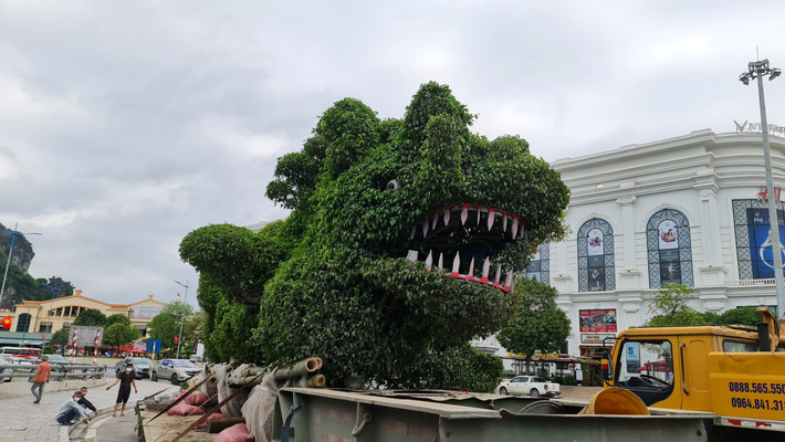 Sáng 28/4, người dân đi bộ trên đường bao biển Trần Quốc Nghiễn, phường Bạch Đằng, TP Hạ Long, Quảng Ninh bất ngờ về 2 " con rồng" được cắt tỉa, ghép bằng cây xanh có hình thù “khác lạ” đặt ngay trước khu bờ bao biển nhìn ra vịnh Hạ Long.