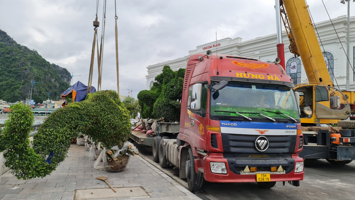 Điều kỳ lạ là dù được uốn tỉa kỳ công, phần đầu và chân của cặp rồng trông không giống với bất cứ hình ảnh con rồng nào của Việt Nam.