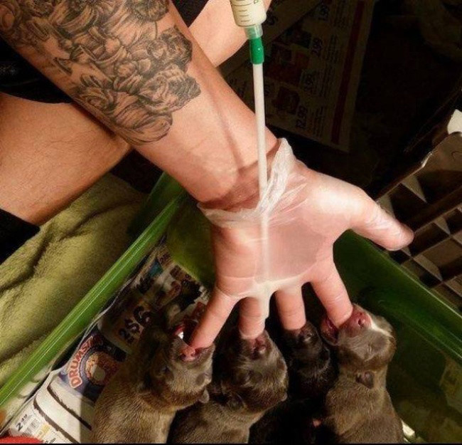 Đôi khi cái khó lại ló ra cái khôn.