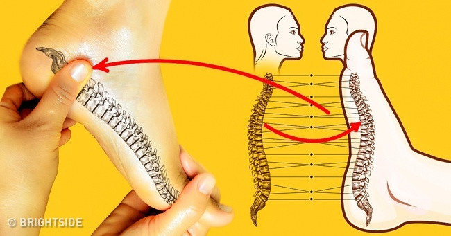 Bạn có thể thoát khỏi đau cột sống bằng cách kích thích điểm tương ứng trên bàn chân. Ảnh: BS.