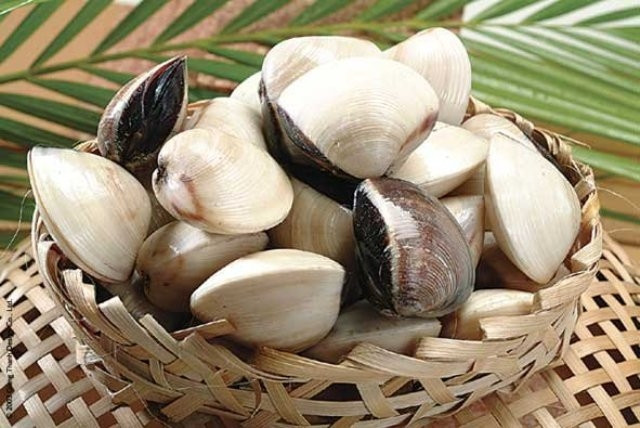 Mua ngao thì nên chọn những con vỏ còn cứng và đóng chặt miệng. Dùng tay tách thử vỏ ngao, nếu có thể dễ dàng tách chúng ra tức là ngao chết.