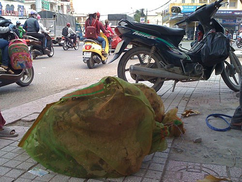 Tình trạng một số người rao bán ong vò vẽ rất công khai ngay giữa đường phố Biên Hòa. Tuy nhiên, việc buôn bán loại “sát thủ” này, xem ra khó chấm dứt mà vẫn còn nở rộ. Những túi lưới chứa tổ ong vò vẽ được bày bán tại góc ngã tư vòng xoay Tân Phong (đường Đồng Khởi, P.Tân Hiệp, TP.Biên Hòa, tỉnh Đồng Nai). Ảnh chụp lúc 10h30 ngày 28/8/2015.