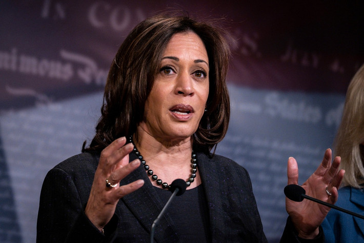 Sau nhiều tháng cân nhắc lựa chọn, ông Biden chọn bà Harris làm đối tác tranh cử. Theo CNN, ông Biden đưa ra lựa chọn này vì bà là thượng nghị sĩ có kinh nghiệm dày dặn trên chính trường. Ảnh: New York Times.