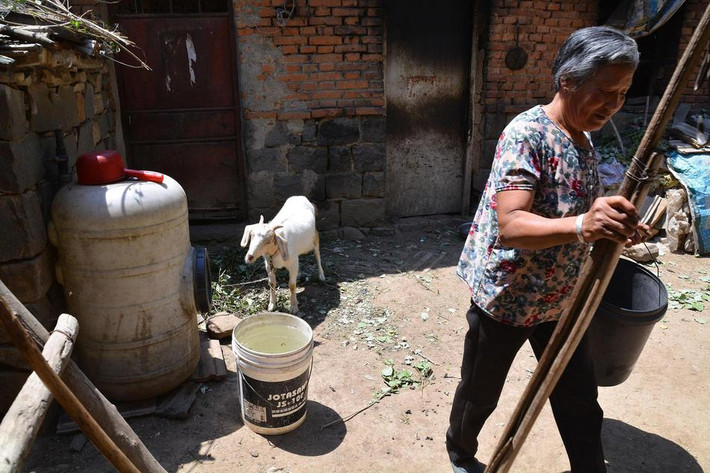 Nói đến con cái, bà Khải Liên có một con trai, một con gái, cả hai đều rời xuống chân núi sinh sống. Con dâu của bà thân thể không tốt, hay đổ bệnh, để sống được, con trai thường xuyên đến tỉnh khác làm công. Con gái của bà cũng đã lập gia đình, theo chồng đến nơi khác để kiếm tiền. Chỉ có ngày mùa, ngày lễ, ngày tết mới trở lại thôn để thăm mẹ và bà nội một chút rồi lại đi ngay, không trông chờ được gì. (Nguồn Sina)