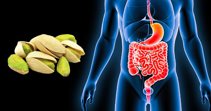 Ngừa táo bón: Hạt dẻ cười chứa lượng chất xơ cao nên rất tốt cho hệ tiêu hóa. Chất xơ cần thiết để duy trì hệ tiêu hóa khỏe mạnh, làm việc trơn tru, tránh tình trạng khó tiêu, táo bón...