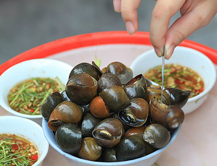 Những con ốc nóng hổi, béo tròn chấm cùng bát mắm cay nóng dậy mùi gừng, ớt, sả đặc trưng khiến thực khách xuýt xoa. Ốc cũng được các quán ăn vặt biến tấu thành nhiều món rất hấp dẫn như xào dừa, sốt me, xào bơ…