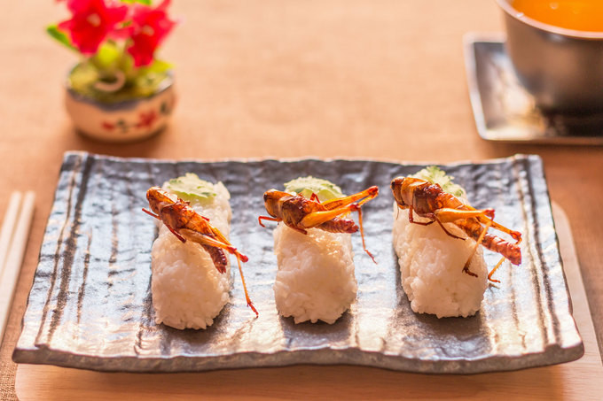 Sushi côn trùng: Sushi là món ăn phổ biến ở đất nước mặt trời mọc. Ngoài cá và hải sản, món ăn này còn được biến tấu bằng cách sử dụng côn trùng như nhện, ong, sâu, ấu trùng.