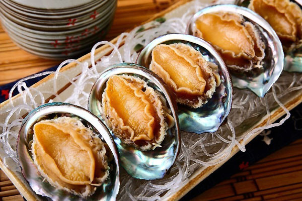 Bào ngư là đặc sản nổi tiếng ở Đà Nẵng, ngoài hương vị thơm ngon, bào ngư còn được xem là dược liệu quý trong việc tăng cường thể lực cho người dùng. Bào ngư có thể ăn sống hoặc chế biến thành những món ngon bổ dưỡng.