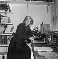 Dorothy Hodgkin (1910 - 1994) là nhà hóa học nữ nổi tiếng người Anh đã đạt giải Nobel vào năm 1964. Bà được nhiều người nhớ đến với việc sử dụng kỹ thuật mới tinh thể học X-quang và những máy tính đầu tiên.