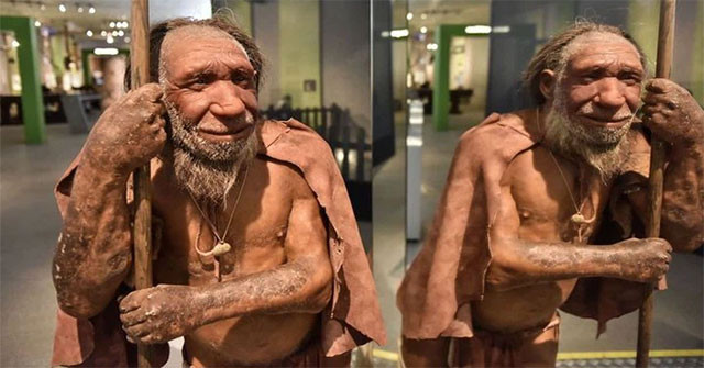 Để khắc phục tình huống này, người Neanderthals buộc phải tìm các loài động vật khác để săn bắn, lấy thịt. Theo đó, thỏ trở thành đối tượng phù hợp với nhu cầu của họ.
