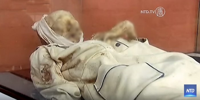 Trước sự việc những thi hài ở San Bernardo không phân hủy, các chuyên gia tò mò điều này xảy ra bằng cách nào.