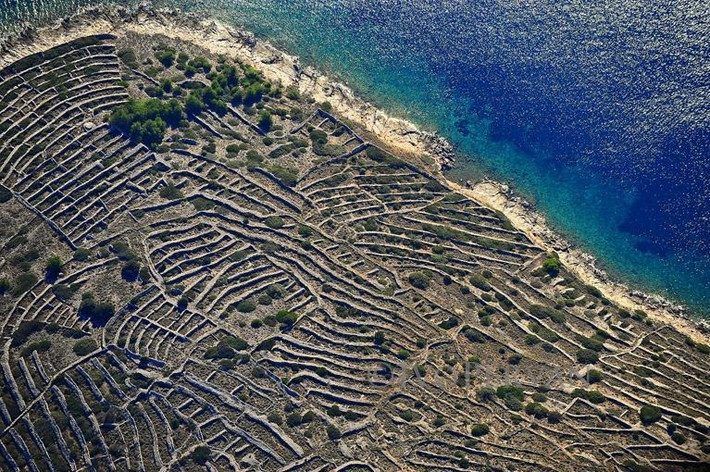 Ủy ban Du lịch Quốc gia Croatia cho hay những người nông dân trên đảo Kaprije gần đó từng sử dụng đảo Bavljenac để canh tác nông nghiệp. Nông dân chủ yếu trồng các loại cây trái như nho, sung, cam, quýt...