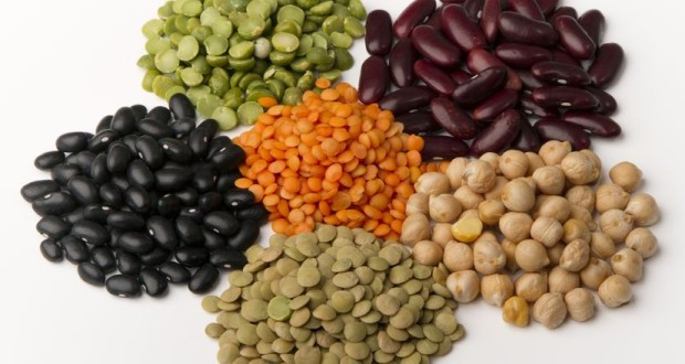 Đậu, đậu Hà Lan và đậu lăng là thực phẩm giàu protein nạc tốt, ít chất béo. Chúng cũng giàu chất xơ và có thể giúp giảm cholesterol nếu bạn ăn thường xuyên.