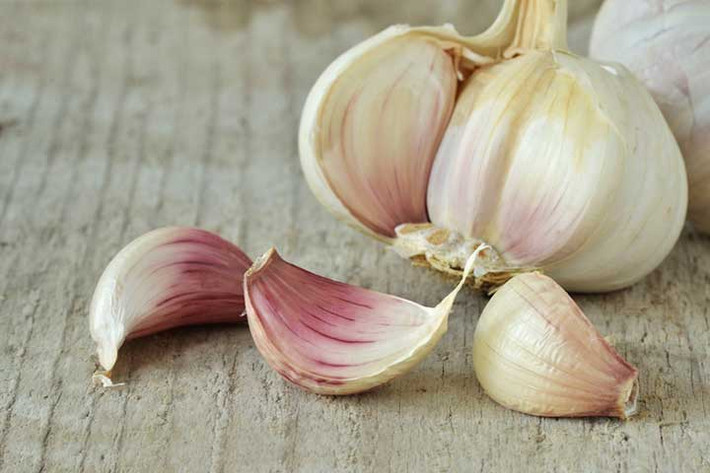 Tỏi kích thích lưu lượng máu và cũng có chứa các đặc tính chống viêm và kháng khuẩn sẽ giữ cho quá trình tiêu hóa ổn định.