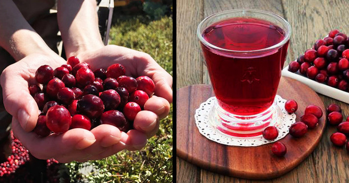 Quả nam việt quất rất giàu chất chống oxy hóa và vitamin C và chúng giúp loại bỏ tất cả lượng nước dư thừa ra khỏi cơ thể.
