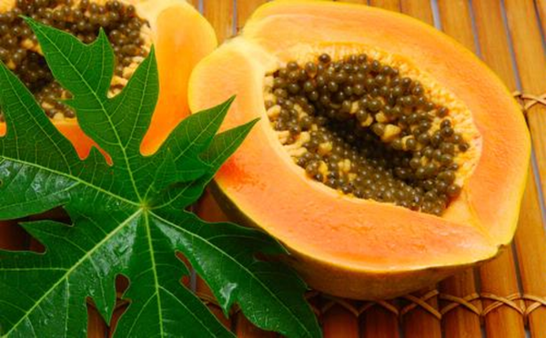 Ăn đu đủ hoặc uống nước ép đu đủ có thể giúp kỳ kinh đến sớm hơn và bạn không cần lo về cơn đau bụng “ngày ấy” trong chuyến đi chơi nữa.