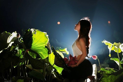 Ý tưởng về bộ ảnh, nhiếp ảnh gia Thanh Tâm cho hay: "Thực sự là một điều tình cờ, thời điểm hôm bọn mình đi chụp là buổi chiều, nhưng do chiều hôm đấy trời lại đổ mưa. Cả mẫu ảnh và mình vẫn cố gắng phiêu cùng bộ ảnh, cũng nhờ sự nhiệt tình của mẫu và diễn xuất rất đa cảm xúc, mình đã nảy ra ý tưởng chụp "Sen đêm" với ý muốn mang đến một phong cách "lạ" và không ngờ nhận được sự ủng hộ từ mọi người như vậy".