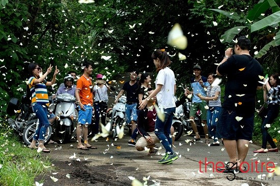 Du khách nhanh tay bấm máy để lưu lại cảnh “hoa thơm bướm lượn” tuyệt đẹp ở Cúc Phương.