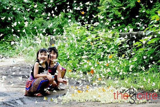 Là người yêu thích thiên nhiên nên trên mỗi hành trình đi qua, nhiếp ảnh gia Phạm Hải luôn muốn chụp lại những cảnh đẹp của Việt Nam. Bộ ảnh “Bướm” của anh cũng đã ghi lại những khoảnh khắc tuyệt đẹp của đàn bướm ven các con đường dẫn vào rừng Cúc Phương.