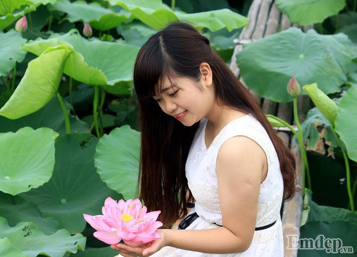 Thiếu nữ duyên dáng tạo dáng bên hoa sen.