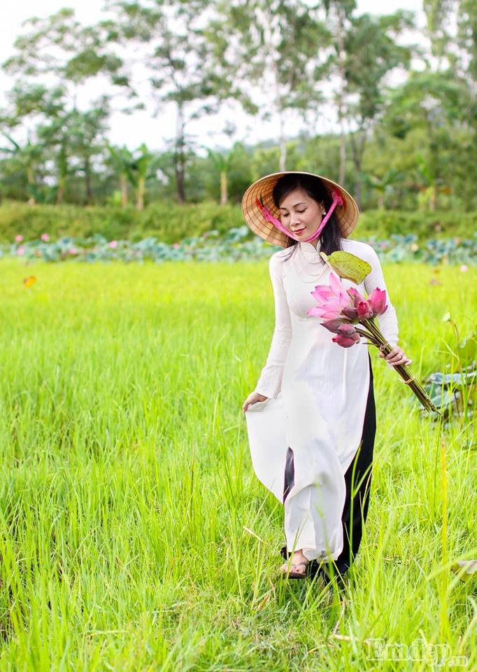 Thời điểm đẹp nhất ngắm hoa sen là 5 - 6h sáng. Lúc này hương sen tỏa ra ngan ngát, hòa mình cùng thiên nhiên trong lành, bạn cứ ngỡ mình đang lạc trong chốn thần tiên.