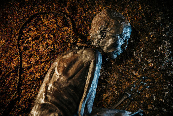 Ngoài ra, trong ruột của Tollund Man còn có trứng ký sinh trùng. Các chuyên gia suy đoán nhiều khả năng người ăn thịt tươi hoặc chưa nấu chín kỹ và uống nước có trứng động vật ký sinh.
