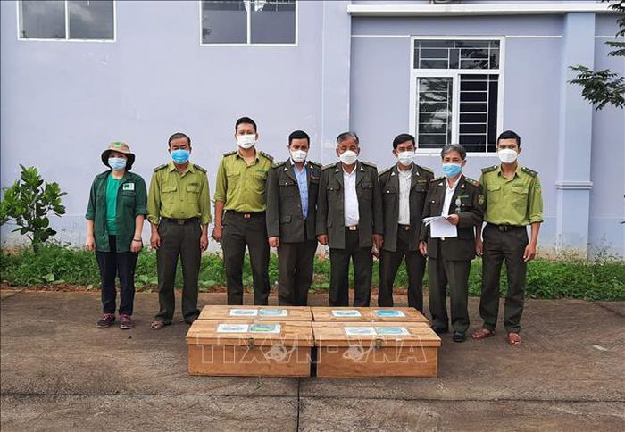 Sau khi nhận được thông báo cứu hộ, Vườn Quốc gia Cúc Phương ở tỉnh Ninh Bình đã cử một tổ công tác thuộc Trung tâm Cứu hộ, bảo tồn và phát triển sinh vật tới Đà Nẵng và Quảng Trị để cứu hộ, tiếp nhận số lượng lớn động vật hoang dã.