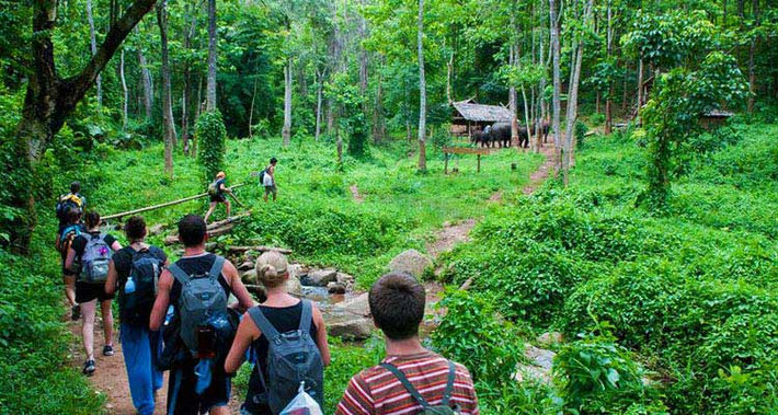 Toàn bộ số động vật hoang dã trên đều thuộc nhóm IB và nhóm IIB. Chúng đều là các loài nguy cấp quý hiếm theo Nghị định 84/2021/NĐ-CP.